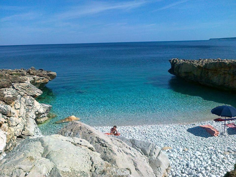 Baglio Giammaccaro Bed and Breakfast Castelluzzo Εξωτερικό φωτογραφία